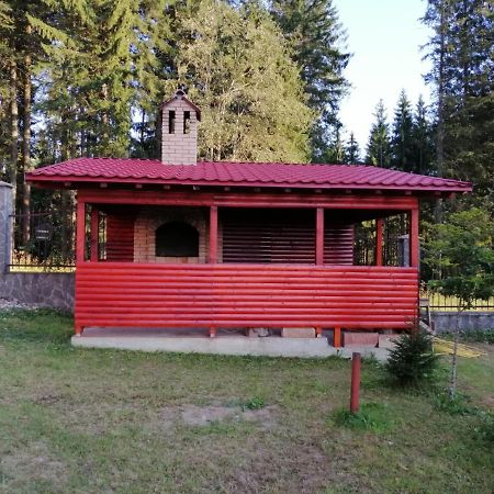 Casa de vacanța Villa Paraul Rece Exterior foto