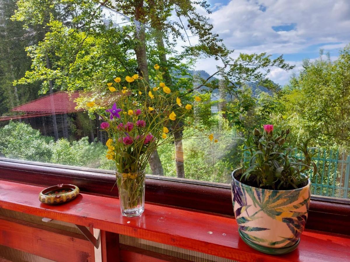 Casa de vacanța Paraul Rece Exterior foto