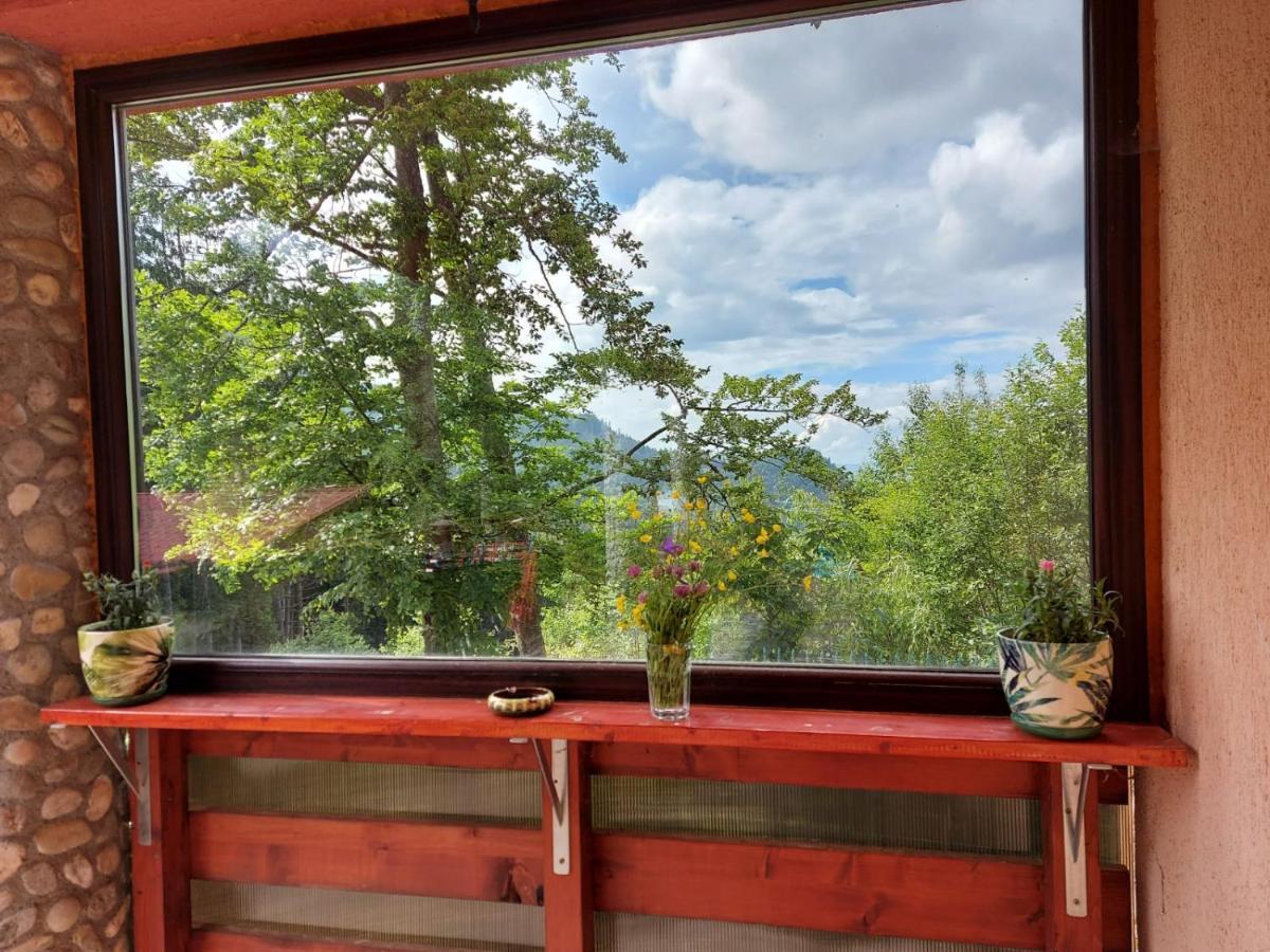 Casa de vacanța Paraul Rece Exterior foto