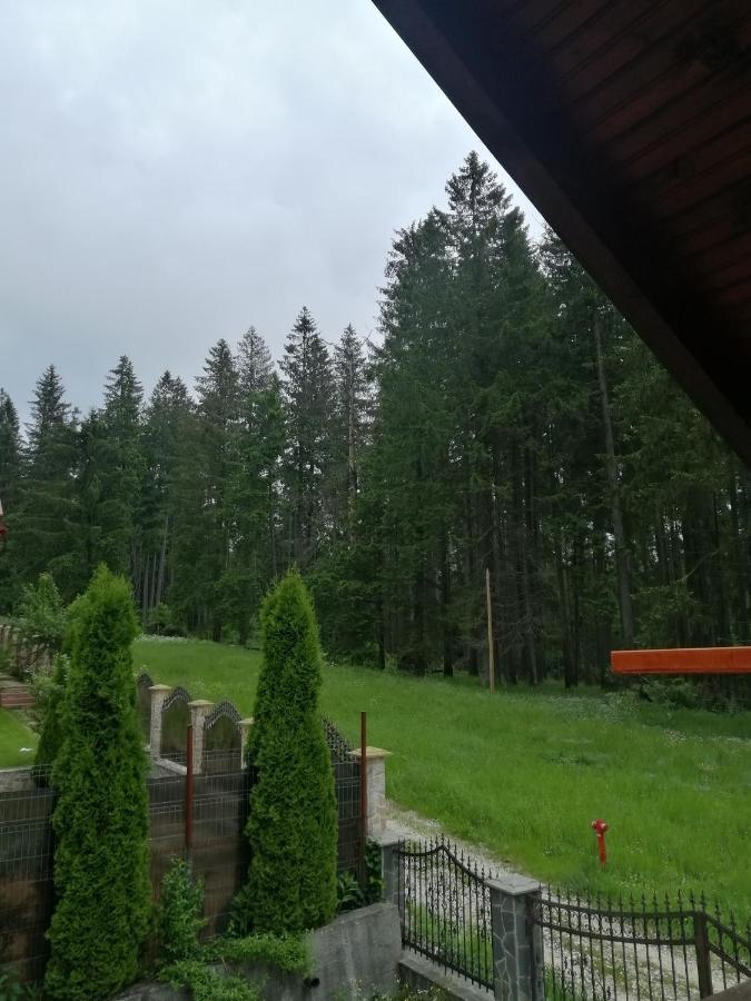 Casa de vacanța Paraul Rece Exterior foto
