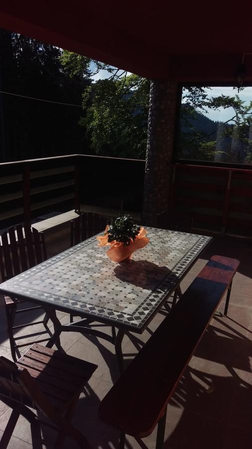 Casa de vacanța Paraul Rece Exterior foto