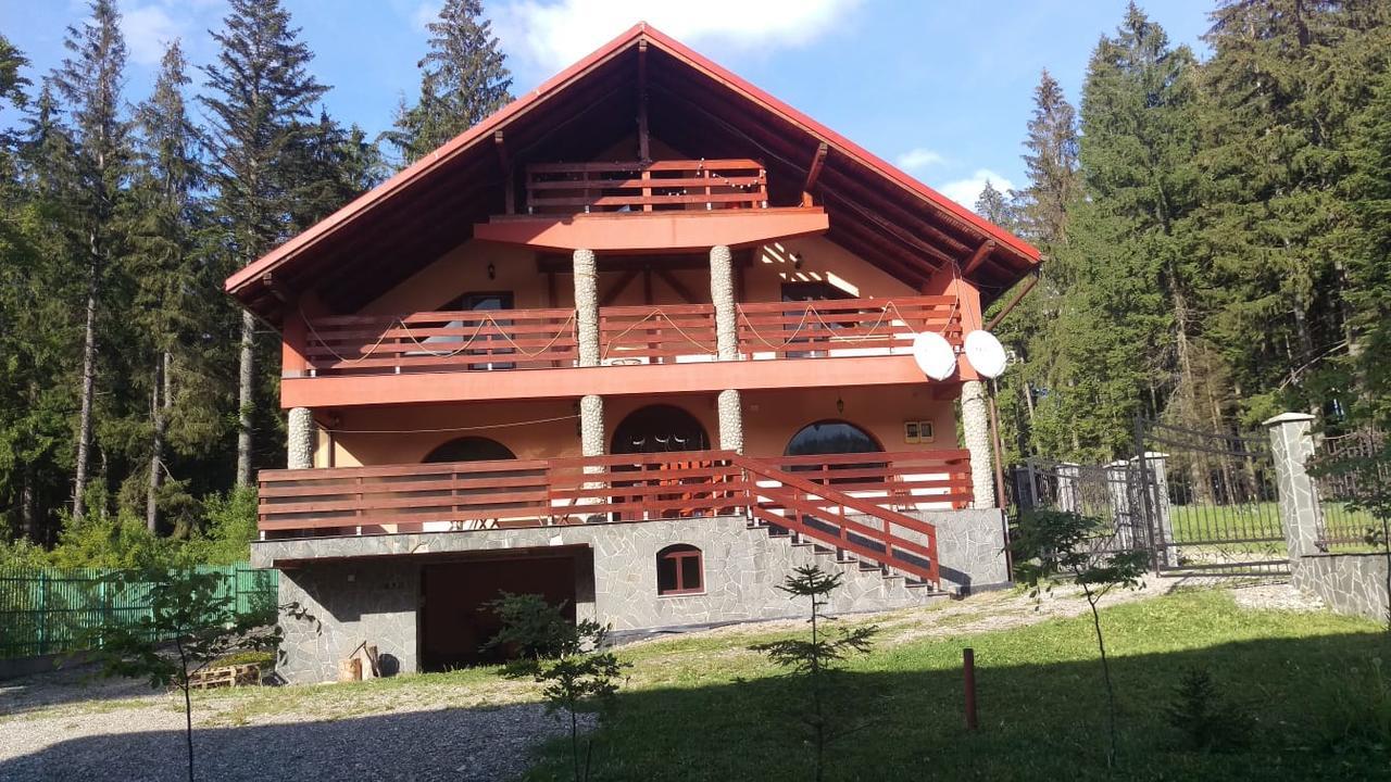 Casa de vacanța Villa Paraul Rece Exterior foto